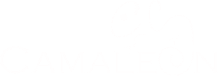 Camaleón Consultoría Sustentable